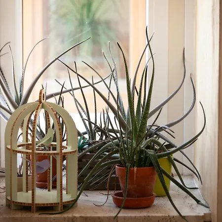 T-rooms Gasthuis Bassano del Grappa